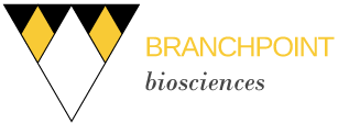 branchpoint-logo